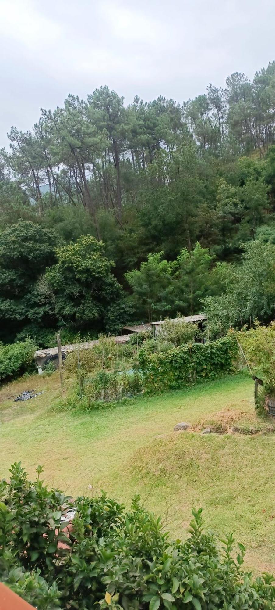 Eido Benito Villa Mondariz Dış mekan fotoğraf