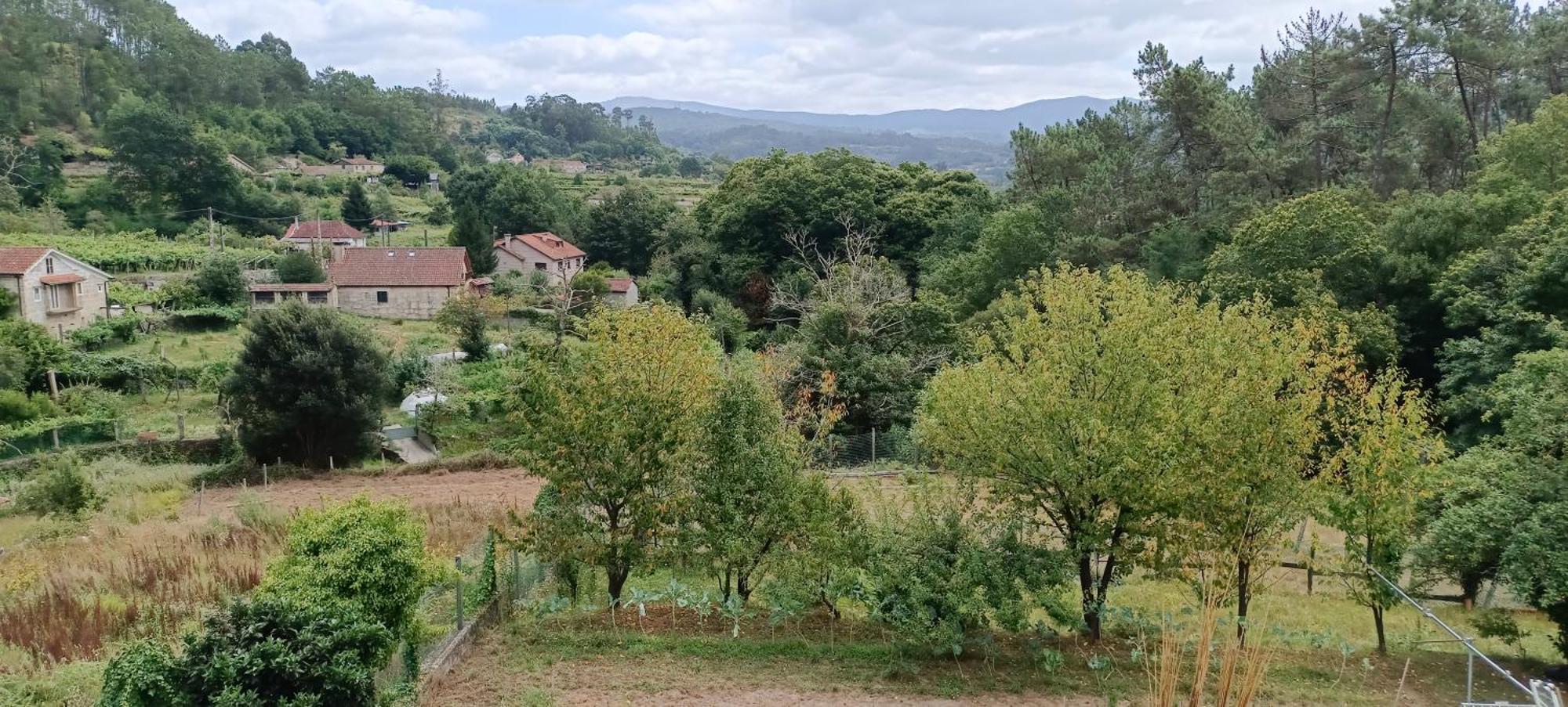 Eido Benito Villa Mondariz Dış mekan fotoğraf