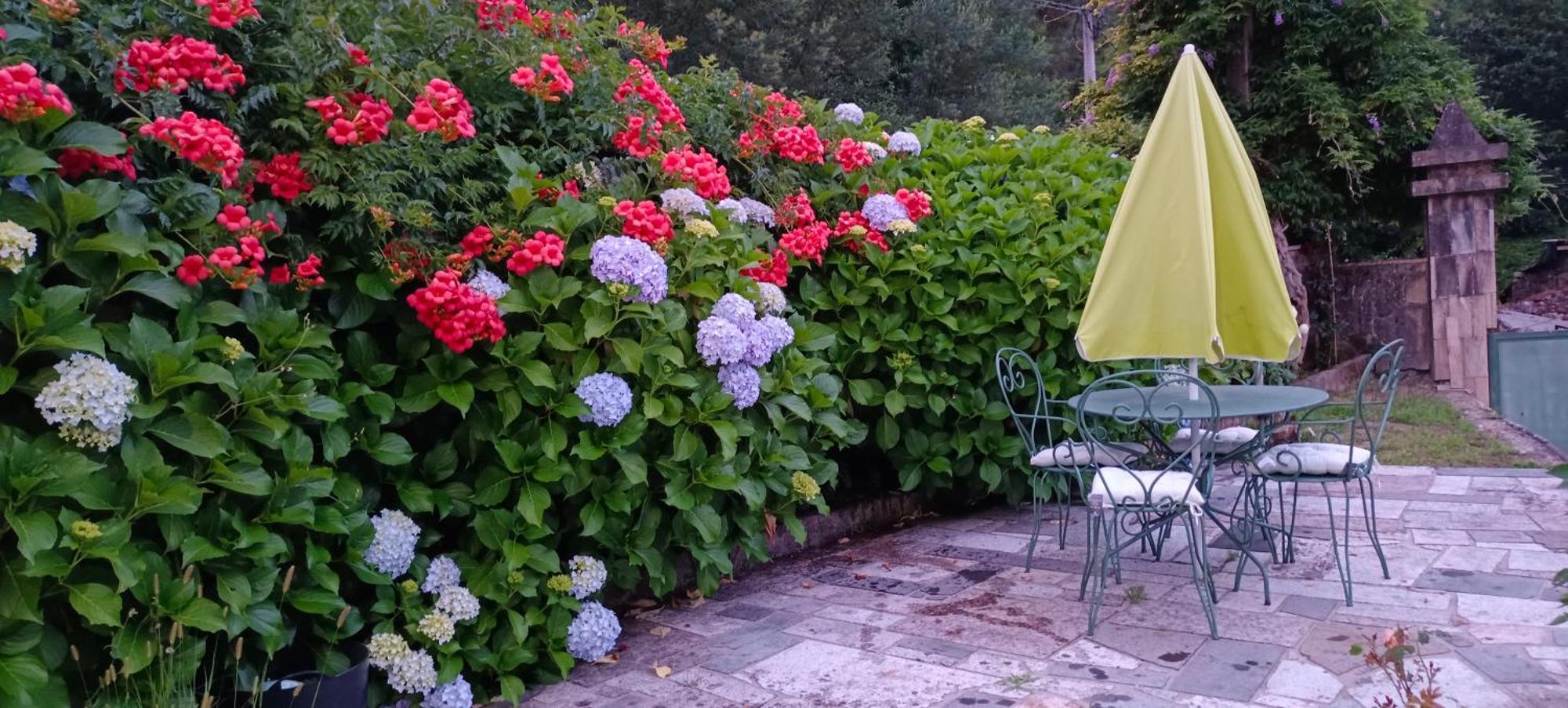 Eido Benito Villa Mondariz Dış mekan fotoğraf